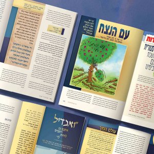 עיצוב כתבה_prog21.jpg