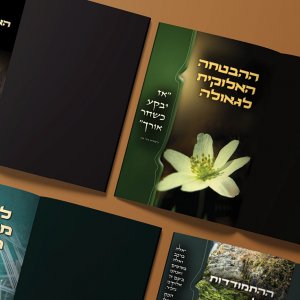 עיצוב שערים_prog23.jpg