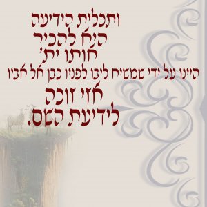 פרויקט 4 copy.jpg