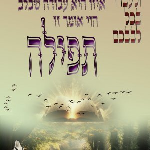 מודעה 9.JPG
