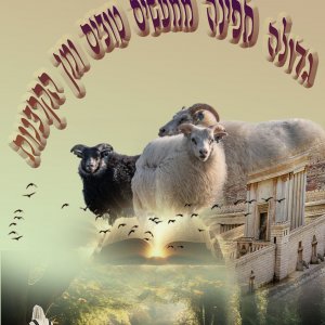 מודעה 12.jpg
