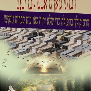 מודעה 13.jpg