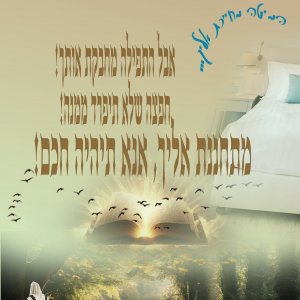 מודעה 19.jpg