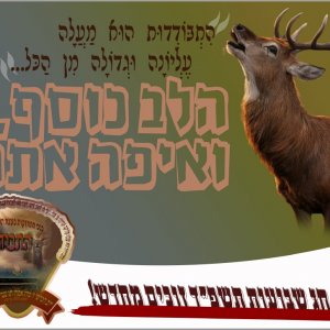 כנס 6.jpg