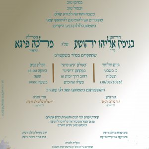 הזמנה בדיקה copy.jpg