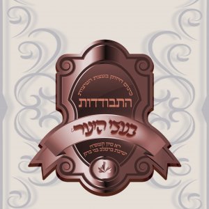 פרויקט 5  + לוגו copy.jpg