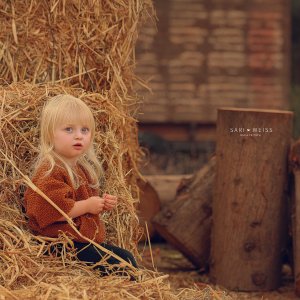 237A6479 copy מוקטן.jpg