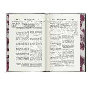 ספר פתוח 2.png