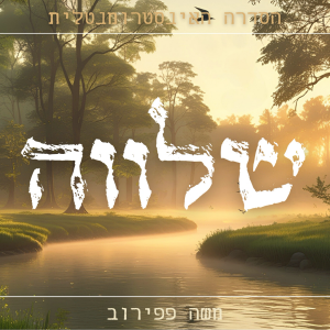 שלווה - הסדרה האינסטרומנטלית.mp3