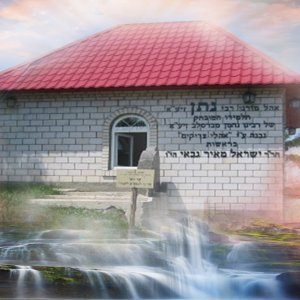 ציון מוהרנת copy.jpg