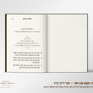 הדמיות דרכי צדק 3.png