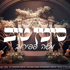 סימן טוב - משה פפירוב.mp3