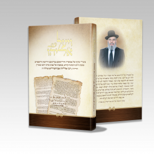 ויעל אליהו - הדמיה קדימה ואחורה