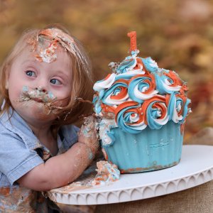 דבורי הרשלר.jpg