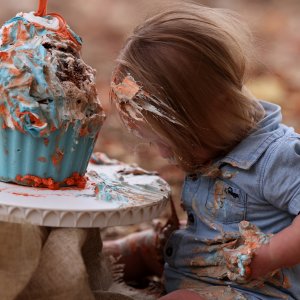 דבורי הרשלר 4.jpg