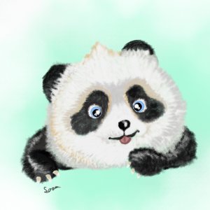 המלך פו פו (1).jpg