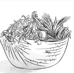 49- שבעת המינים בסלסלה