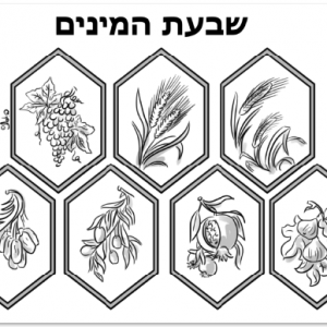 48-שבעת המינים