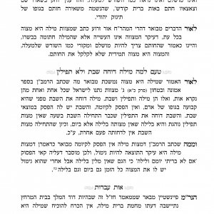 ספר ביום השמיני 4.jpg