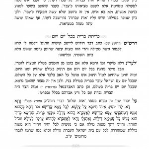 ספר ביום השמיני 5.jpg