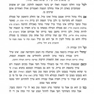 ספר ביום השמיני 6.jpg