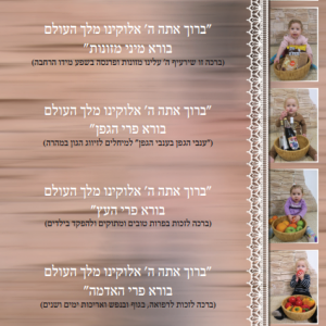 כרטיסברכה משלוח מנות פג