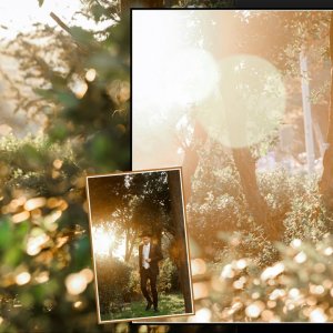 batch_batch_1 (7).jpg