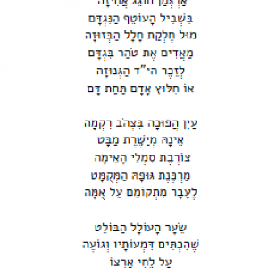 גאות ובצורת שרב