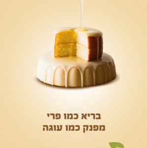 מודעה לימון.jpg