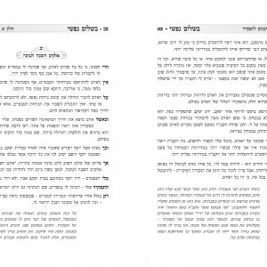 בשלום נפשי_Page_3.jpg