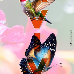 חג אביב שמח