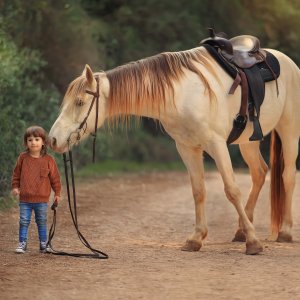מלי 0533104506