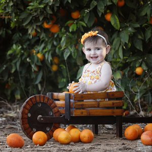 צילום: גילה שלסר 0548539444