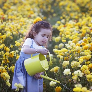 צילום: גילה שלסר 0548539444