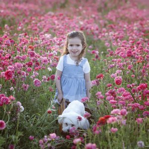 צילום: גילה שלסר 0548539444