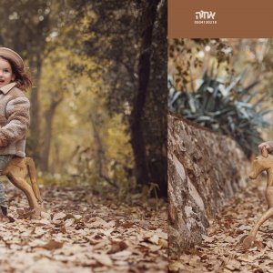 0504130218 אחוה פלוטקין (8).jpg