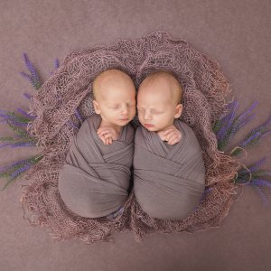 צילום: גילה שלסר 0548539444