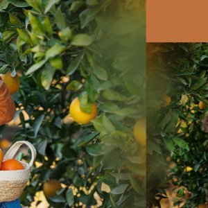 אחוה פלוטקין 0504130218- שמואל10.jpg