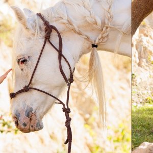 אחוה פלוטקין 0504130218- שמואל14.jpg