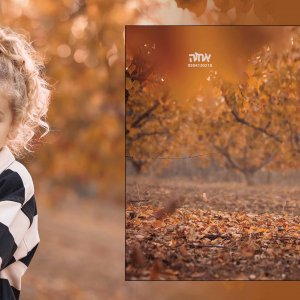 אחוה פלוטקין 0504130218- שמואל20.jpg