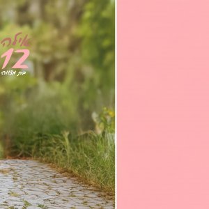 00 כריכה 2156 copy.jpg