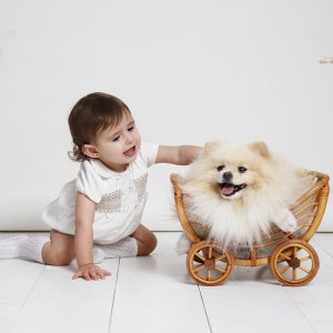 צילום: גילה שלסר 0548539444