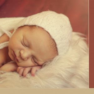 אלבום ניו בורן . שרי שרייבר