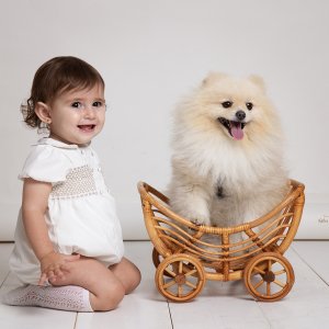 צילום: גילה שלסר 0548539444