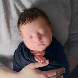 צילום ניו בורן רבקי בקר (רפפורט) 0583274887.jpg