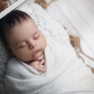 צילום ניו בורן רבקי בקר (רפפורט) 0583274887.jpg