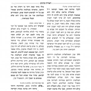 אור לישראל_4.jpg