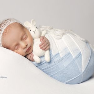 צילום: גילה שלסר 0548539444