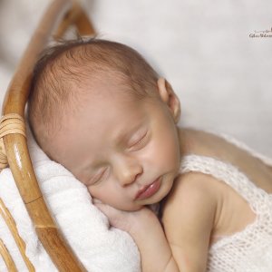 צילום: גילה שלסר 0548539444