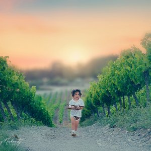 DSC_5967-Enhanced-NR copy.jpg